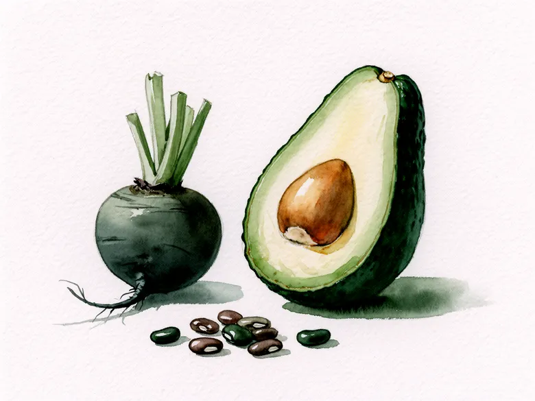 Akvarel af avocado, rødbede og bønner